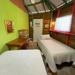 https://judy-house-backpacker-hostel.greaterantilleshotels.net